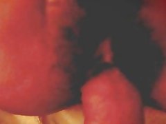 Tajvanski princeza zbijeno maca