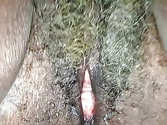 -Sheila!  62 godina star crni baka s mokro siva maca