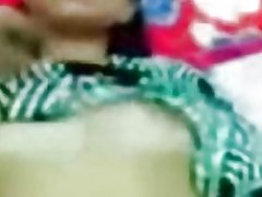 Malajski-Prsata stidljiv nepovjerljiv mačka