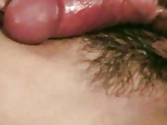 Holmes dobiva joj magarca u